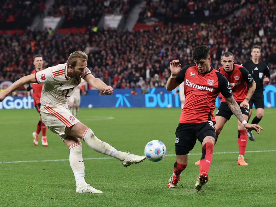 1xbet体育vip注册-爱尔兰主场击败波兰，晋级希望重新点燃