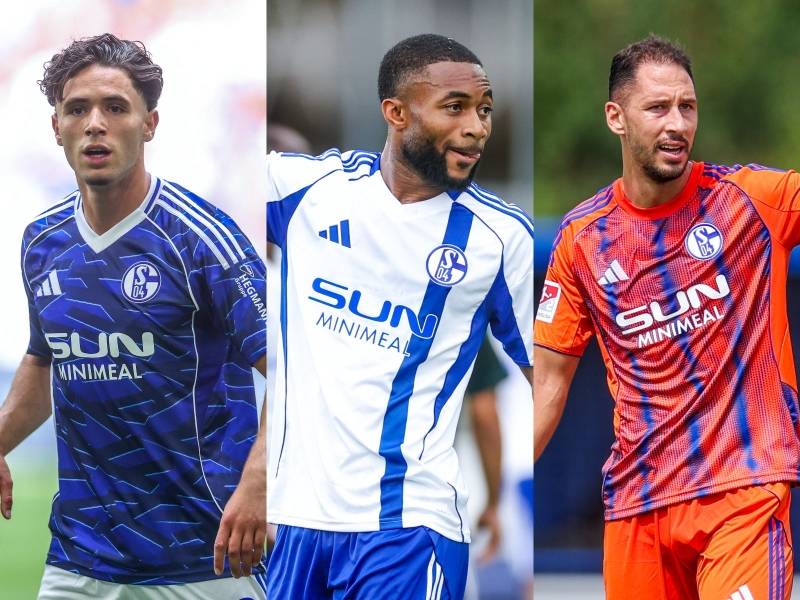 关于沙尔克连败加剧保级风险，德国足球联赛保级形势岌岌可危的信息